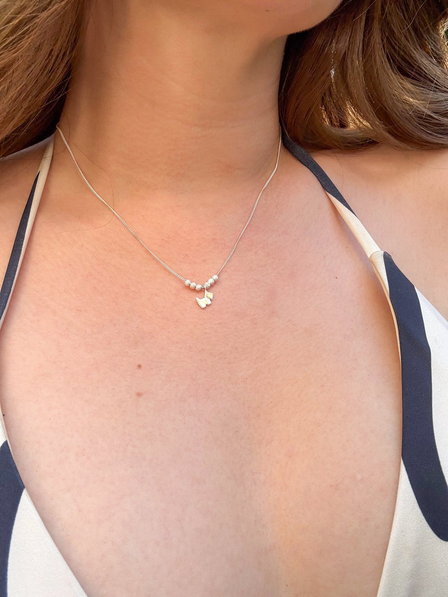 Collar plata diseño perrito