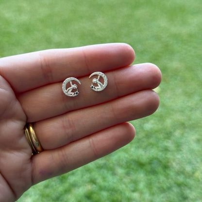 Aros plata principito