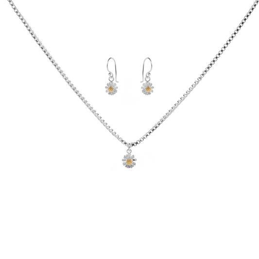 Conjunto plata margaritas