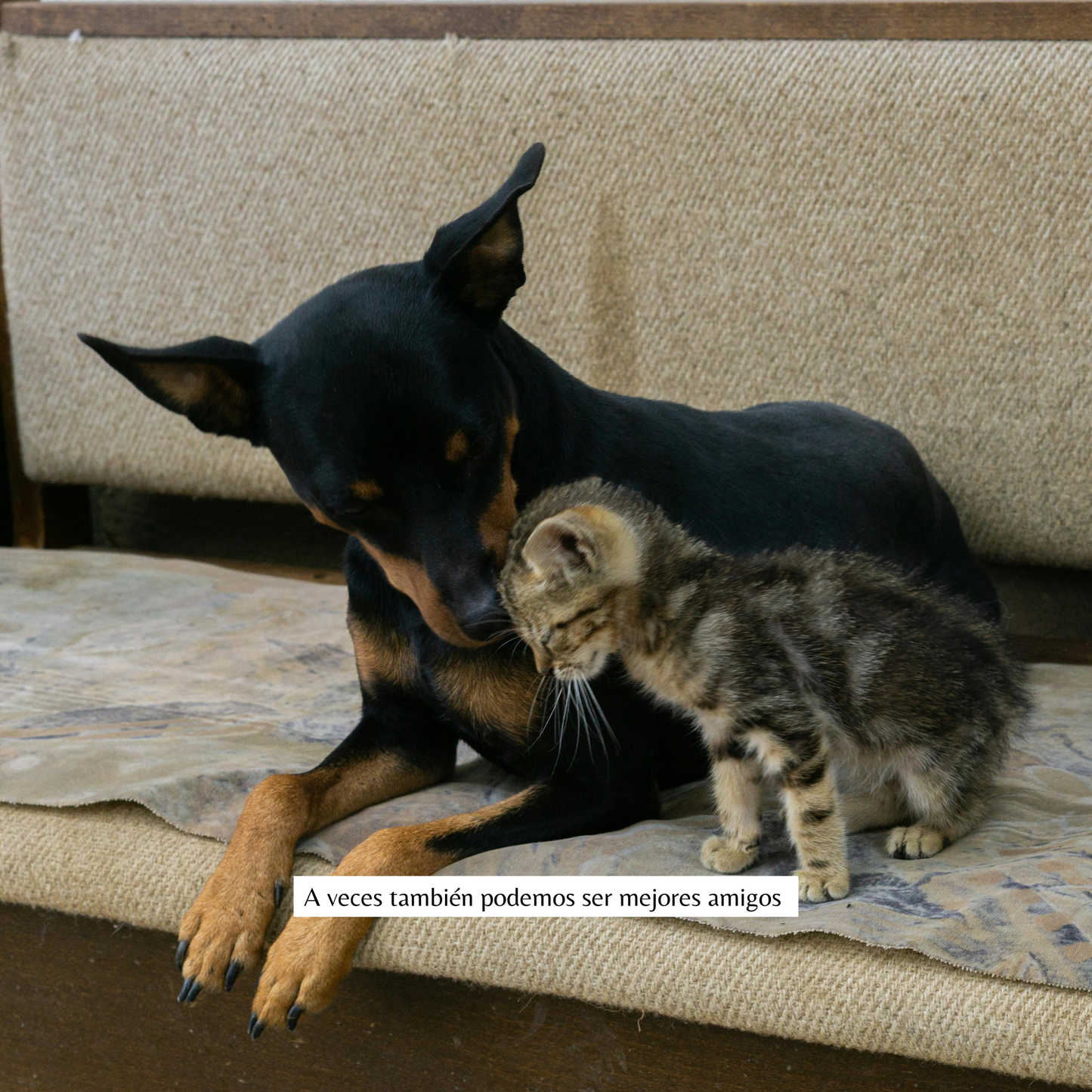 Collar "siempre juntos"