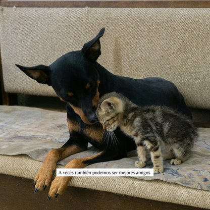 Collar "siempre juntos"