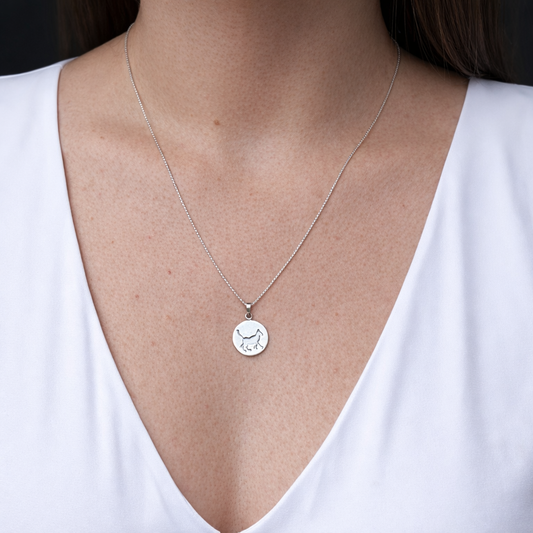 Collar plata con gatito